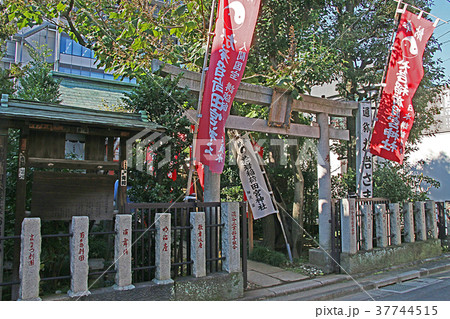 於岩稲荷田宮神社 37744515