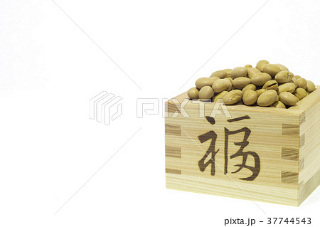 節分(豆) 節分(豆) 37744543
