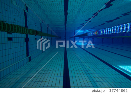 プール プール 37744862