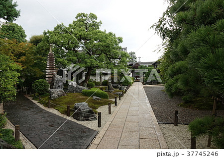 崇福寺　岐阜 37745246