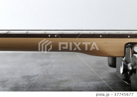 エレキギター 37745677