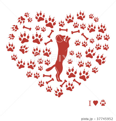 dog standing on its hind legs silhouette dog standing on its hind legs silhouette 37745952
