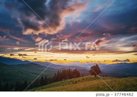 Mountain valley during sunset. Natural summer Mountain valley during sunset. Natural summer 37746462