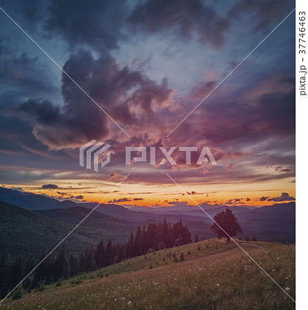 Evening landscape in a colorful sunlight. Mountain Evening landscape in a colorful sunlight. Mountain 37746463