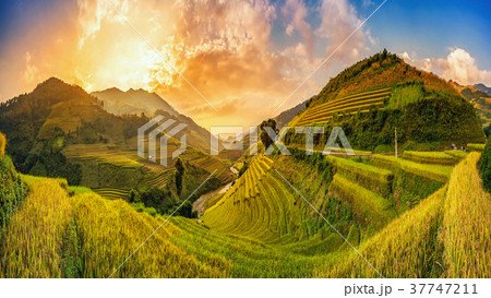 Rice fields on terraced in Muchangchai, Vietnam Rice fields on terraced in Muchangchai, Vietnam 37747211