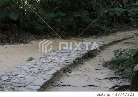 せぃふぁ御嶽の石畳 37747223