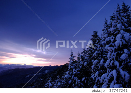 雪山の夜明け（奈良県吉野郡野迫川村） 37747241