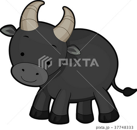 Dwarf Buffalo Illustrationのイラスト素材