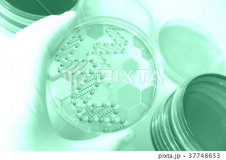 研究イメージ 微生物学 研究イメージ 微生物学 37748653