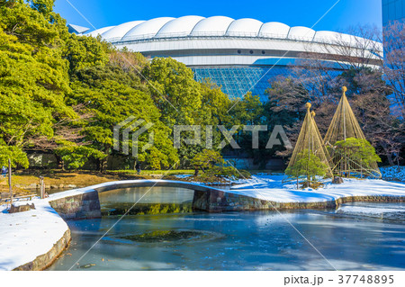 東京　冬の小石川後楽園 37748895