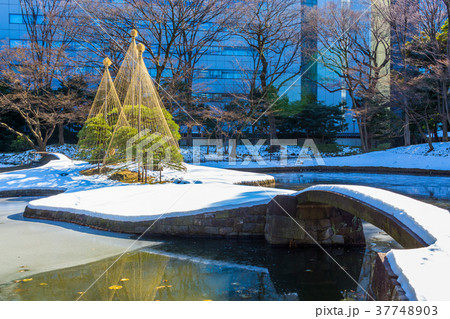 東京 冬の小石川後楽園 東京 冬の小石川後楽園 37748903