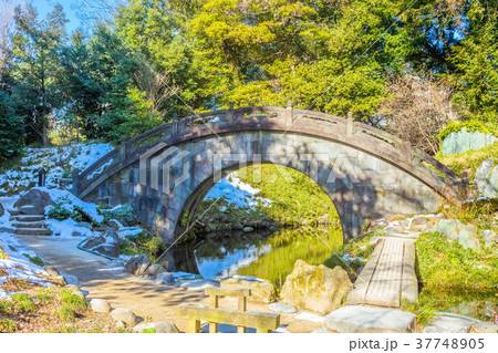 東京　冬の小石川後楽園 37748905