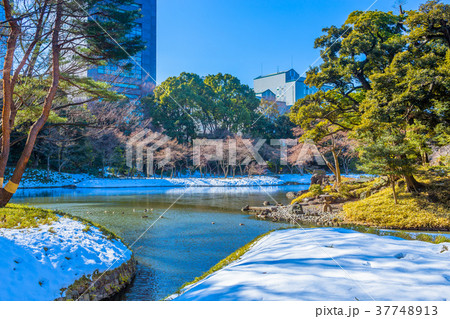 東京 冬の小石川後楽園 東京 冬の小石川後楽園 37748913