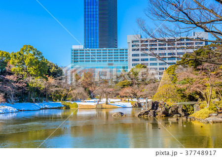 東京　冬の小石川後楽園 37748917