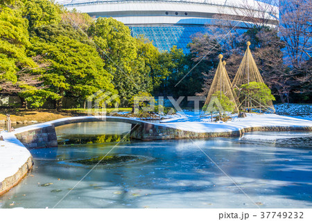 東京 冬の小石川後楽園 東京 冬の小石川後楽園 37749232