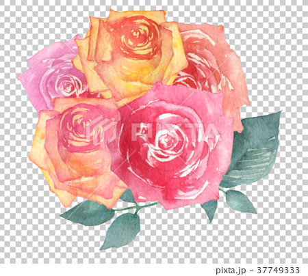 薔薇 花束 赤 ピンク 水彩 イラストのイラスト素材