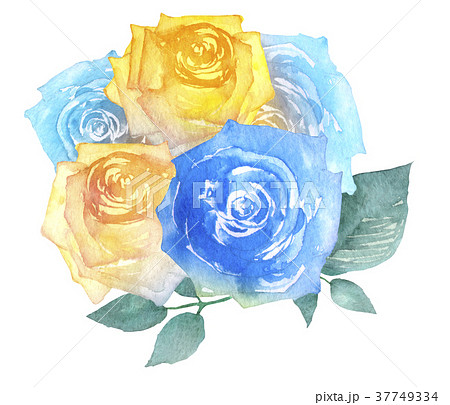 薔薇 花束 青 黄色 水彩 イラストのイラスト素材