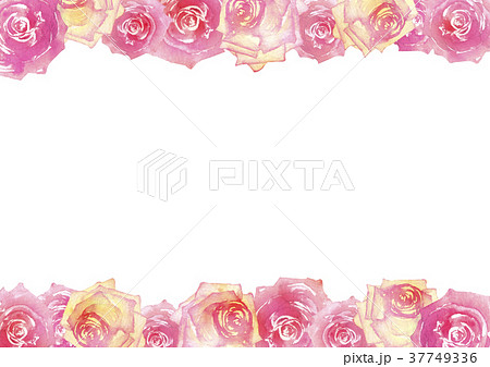 薔薇 背景 フレーム ピンク 水彩 イラストのイラスト素材
