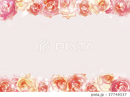 薔薇 背景 フレーム ピンク 水彩 イラストのイラスト素材