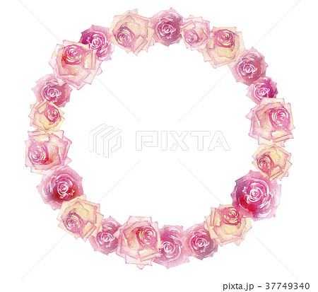 薔薇 フレーム ピンク 水彩 イラストのイラスト素材