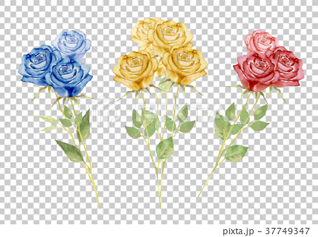 薔薇 花束 赤 青 黄色 水彩 イラストのイラスト素材