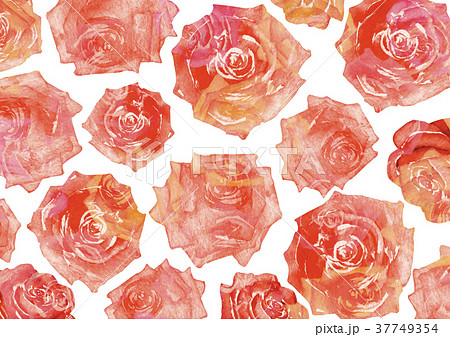 薔薇 背景 壁紙 テキスタイル 赤 水彩 イラストのイラスト素材