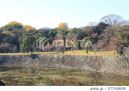 江戸城北桔橋門からの風景 37749608