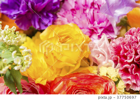 幸せな花の壁 37750697