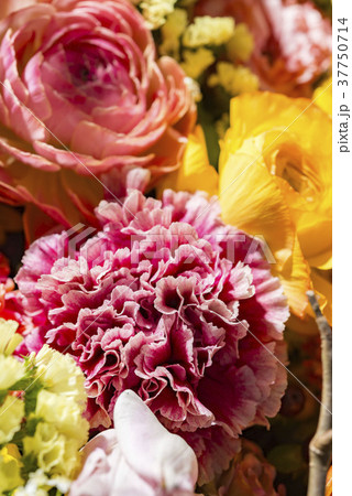 幸せな花の壁 37750714