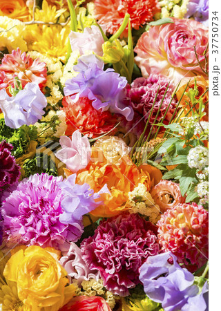 幸せな花の壁 37750734