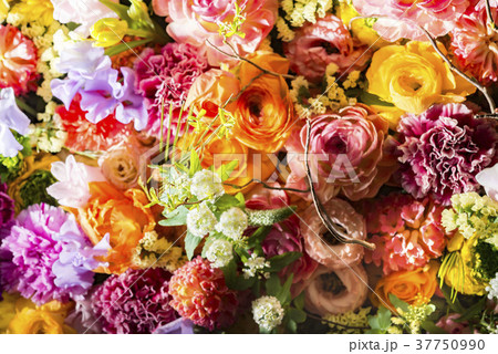 母の日 母の日 37750990