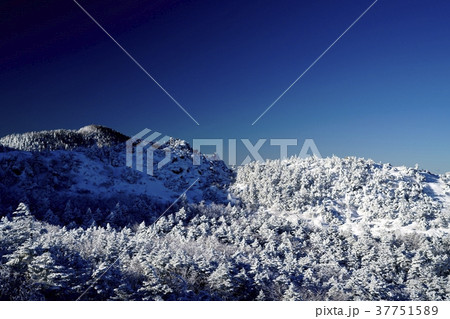 天狗の奥庭 (撮影地:八ヶ岳、黒百合平、天狗の奥庭付近) 天狗の奥庭 (撮影地:八ヶ岳、黒百合平、天狗の奥庭付近) 37751589