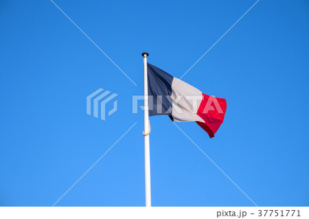Flag of France waving in wind, blue sky background 37751771