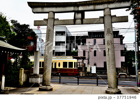 尾久八幡神社前を走行する都電レトロ車両 37751946