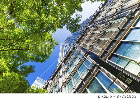 オフィス街の高層ビルと緑 37751955