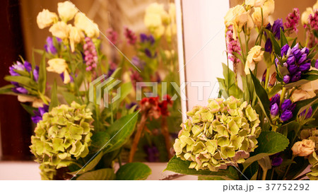 相馬樓・秋色紫陽花 相馬樓・秋色紫陽花 37752292