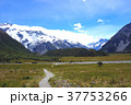 マウントクック 37753266