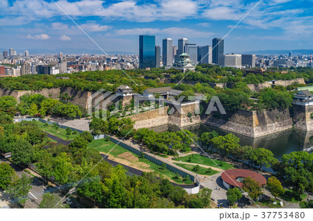 大阪城公園 37753480