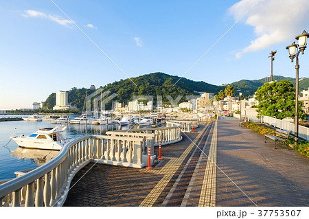 熱海の朝 (8月) 熱海の朝 (8月) 37753507