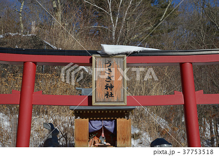 河口湖駅周辺 37753518