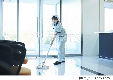 清掃スタッフ 清掃スタッフ 37753729