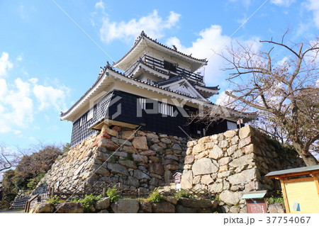 静岡　浜松城 37754067