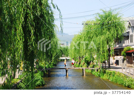 新緑の京都・白川の行者橋 37754140