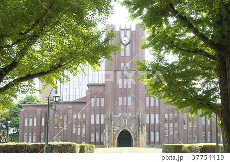 東京大学 安田講堂 春 新緑 東京大学 安田講堂 春 新緑 37754419