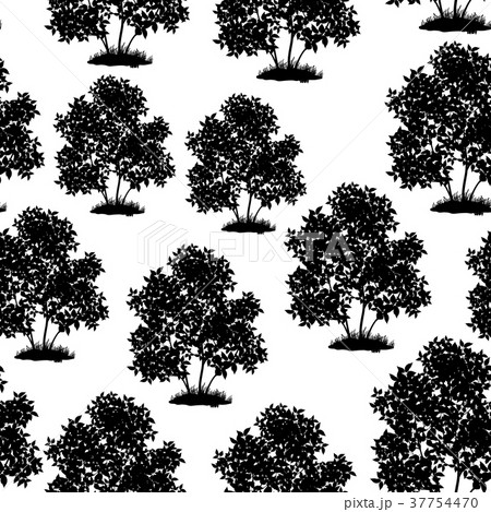 Lilac Bush Seamless 37754470