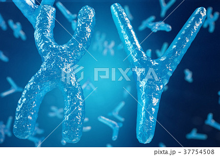 3D illustration XY-chromosomes as a concept for 37754508