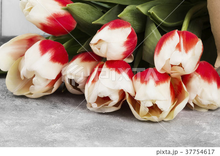 Bouquet of white pink tulips on a gray background 37754617
