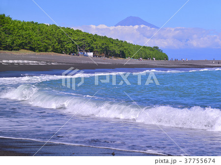 三保海岸-88096 37755674