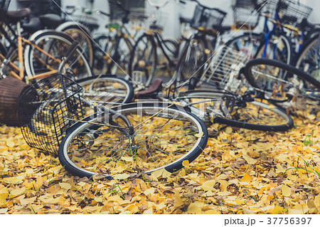 old abandoned bikes leave in bicycle park in japan old abandoned bikes leave in bicycle park in japan 37756397