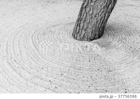 Zen stone garden in Japan black and white Zen stone garden in Japan black and white 37756398